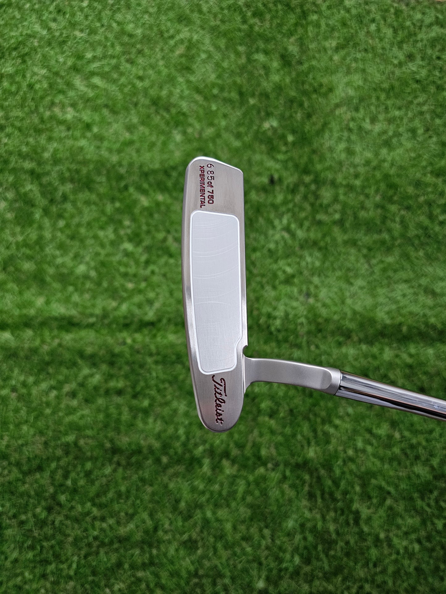 Scotty Cameron Holiday 2008 Buttonback Putter