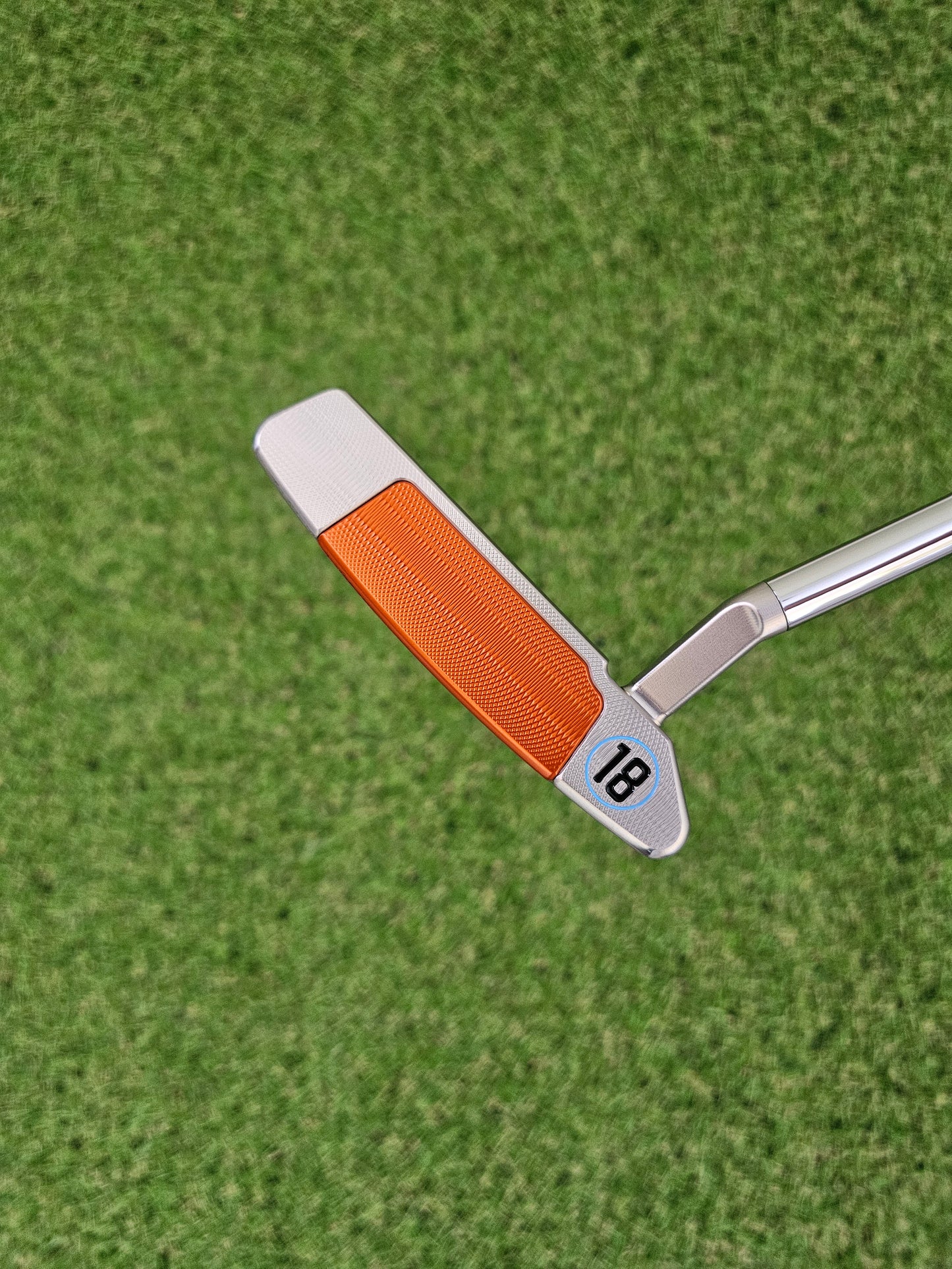 Scotty Cameron Holiday 2018 H18 Putter