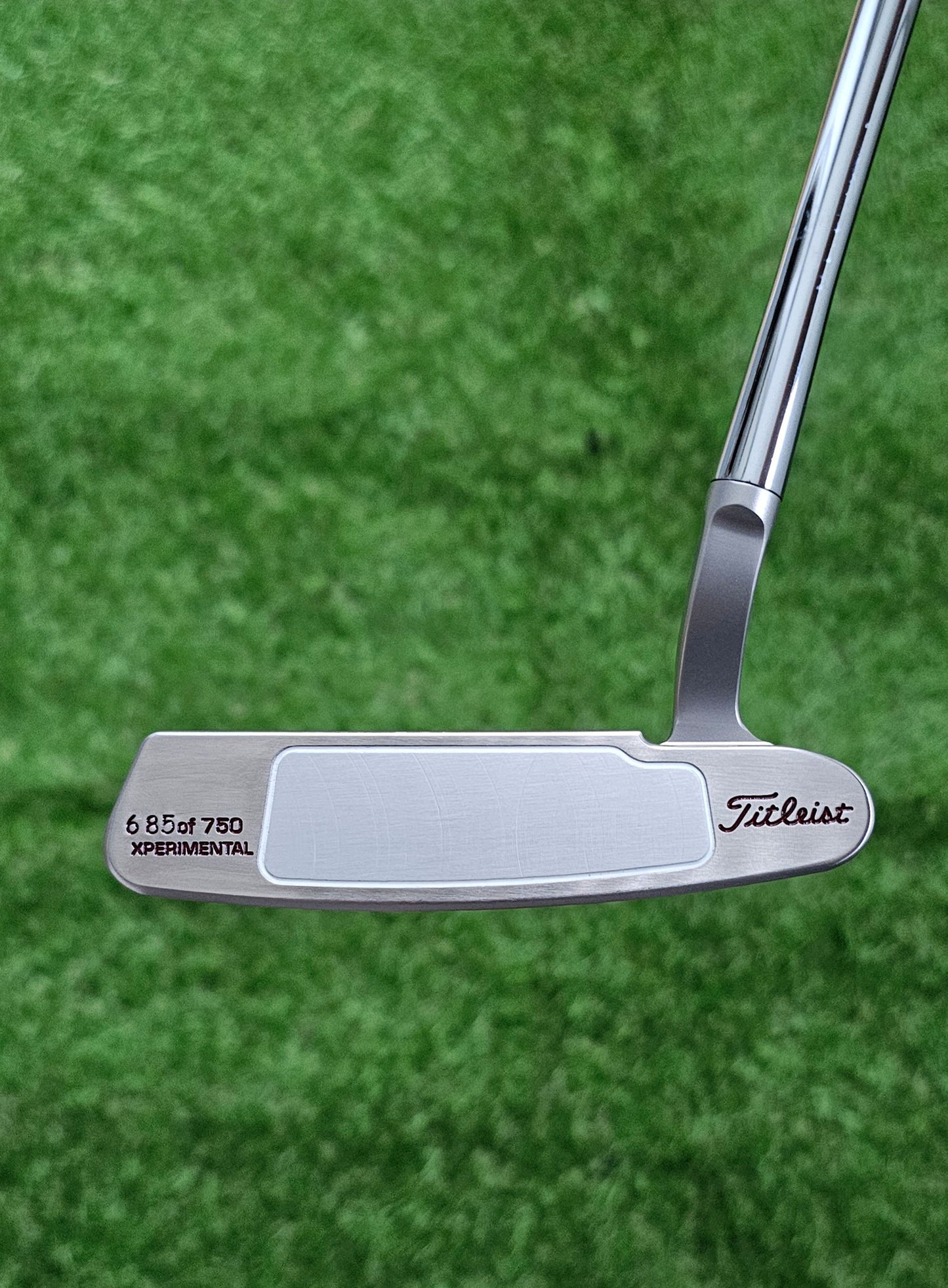 Scotty Cameron Holiday 2008 Buttonback Putter