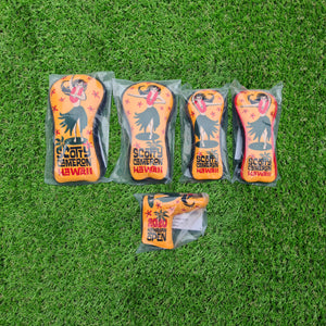 Descriptive image text